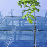 green header f